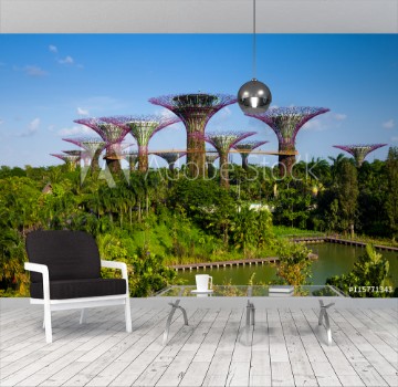 Picture of Daytime view of the Supertree grove at Gardens By The Bay Singa